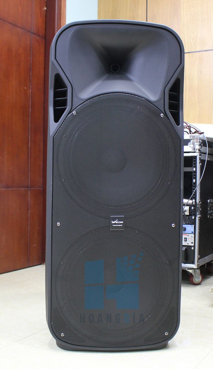 loa kéo 2 bass đôi billow d215