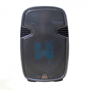 Loa kéo tay Billow D15 (Bass 40)